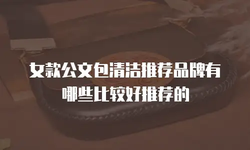 女款公文包清洁推荐品牌有哪些比较好推荐的