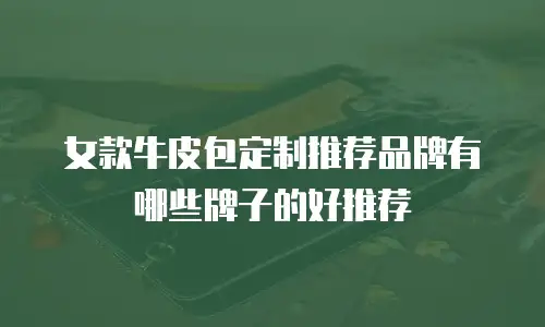 女款牛皮包定制推荐品牌有哪些牌子的好推荐