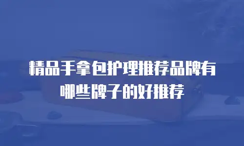 精品手拿包护理推荐品牌有哪些牌子的好推荐