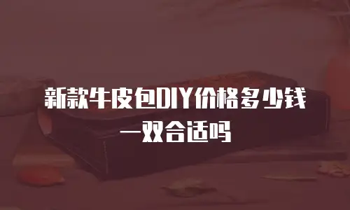 新款牛皮包DIY价格多少钱一双合适吗