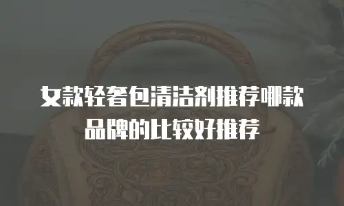 女款轻奢包清洁剂推荐哪款品牌的比较好推荐