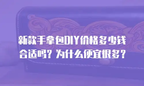 新款手拿包DIY价格多少钱合适吗？为什么便宜很多？