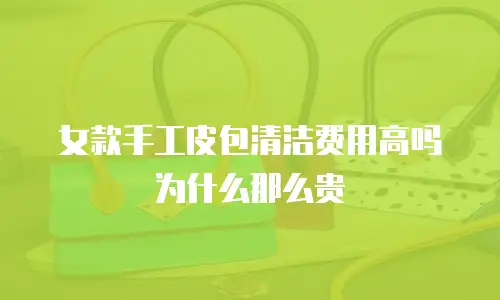 女款手工皮包清洁费用高吗为什么那么贵