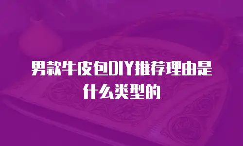 男款牛皮包DIY推荐理由是什么类型的