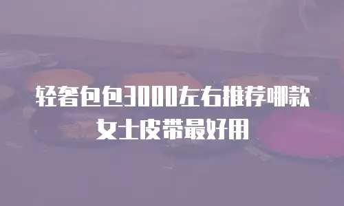 轻奢包包3000左右推荐哪款女士皮带最好用