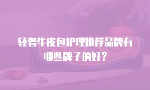 轻奢牛皮包护理推荐品牌有哪些牌子的好？