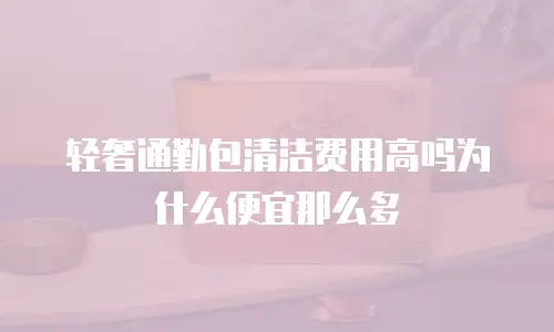 轻奢通勤包清洁费用高吗为什么便宜那么多