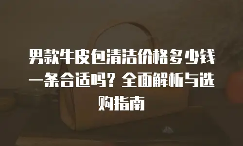 男款牛皮包清洁价格多少钱一条合适吗？全面解析与选购指南