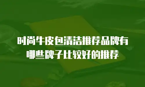 时尚牛皮包清洁推荐品牌有哪些牌子比较好的推荐