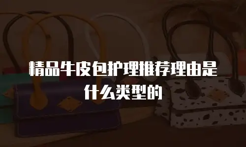 精品牛皮包护理推荐理由是什么类型的