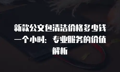 新款公文包清洁价格多少钱一个小时：专业服务的价值解析