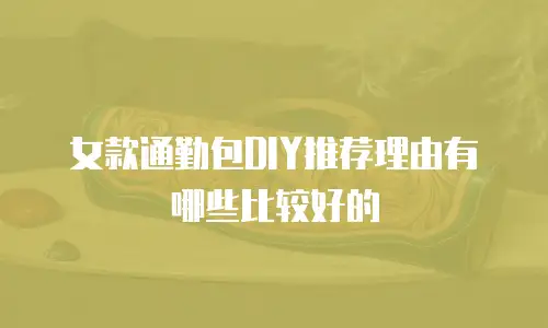 女款通勤包DIY推荐理由有哪些比较好的