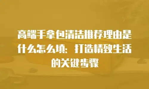 高端手拿包清洁推荐理由是什么怎么填：打造精致生活的关键步骤