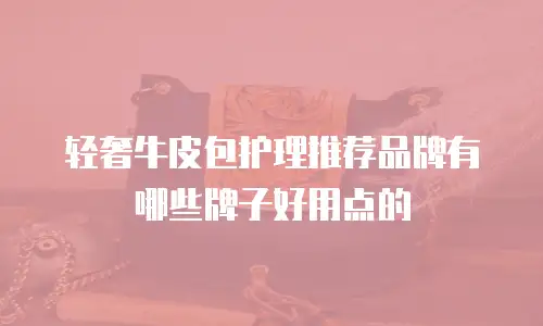 轻奢牛皮包护理推荐品牌有哪些牌子好用点的