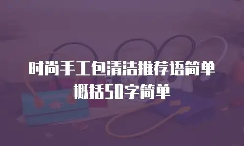 时尚手工包清洁推荐语简单概括50字简单