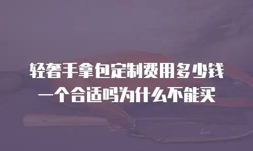 轻奢手拿包定制费用多少钱一个合适吗为什么不能买