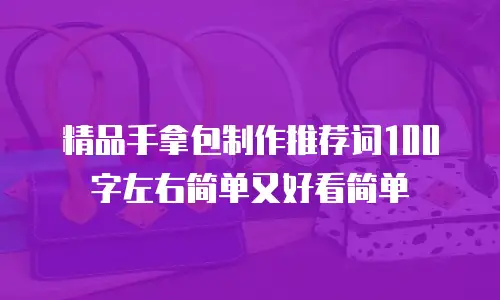 精品手拿包制作推荐词100字左右简单又好看简单