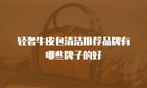 轻奢牛皮包清洁推荐品牌有哪些牌子的好