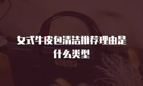 女式牛皮包清洁推荐理由是什么类型