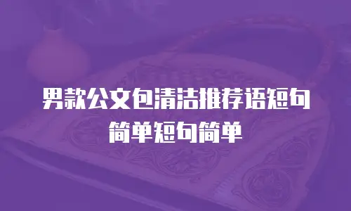 男款公文包清洁推荐语短句简单短句简单