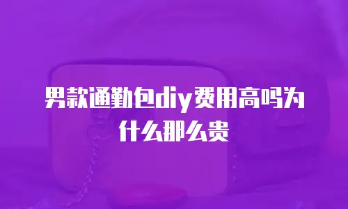 男款通勤包diy费用高吗为什么那么贵