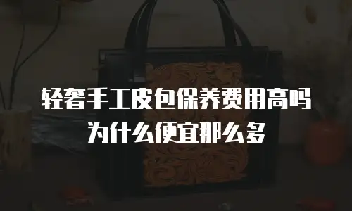 轻奢手工皮包保养费用高吗为什么便宜那么多