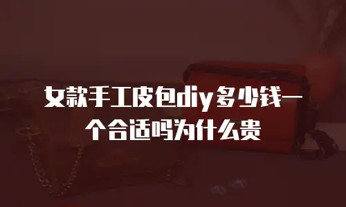 女款手工皮包diy多少钱一个合适吗为什么贵