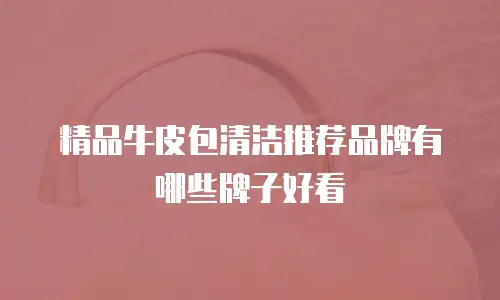 精品牛皮包清洁推荐品牌有哪些牌子好看