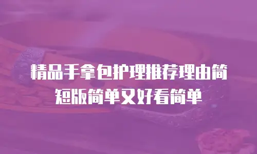 精品手拿包护理推荐理由简短版简单又好看简单