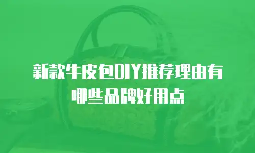 新款牛皮包DIY推荐理由有哪些品牌好用点