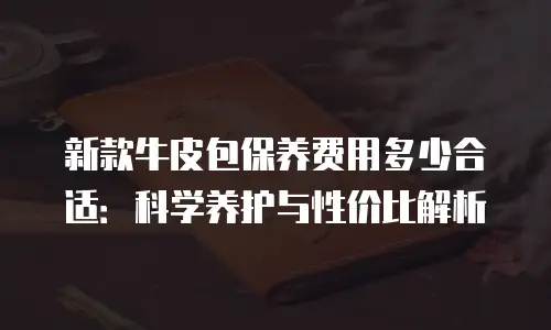 新款牛皮包保养费用多少合适：科学养护与性价比解析