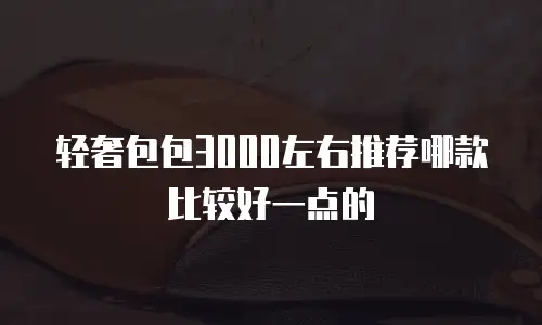 轻奢包包3000左右推荐哪款比较好一点的