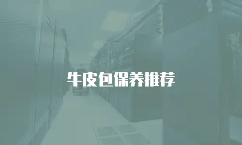 牛皮包保养推荐
