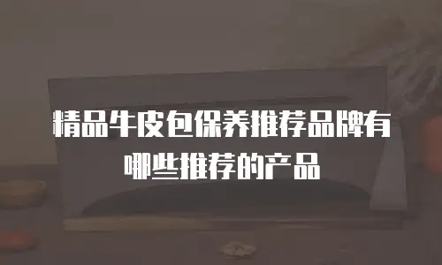 精品牛皮包保养推荐品牌有哪些推荐的产品