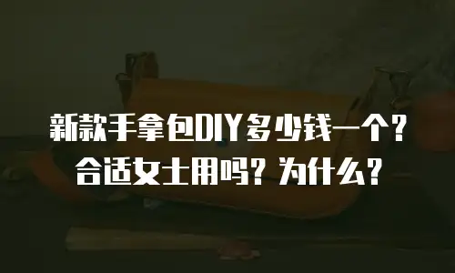 新款手拿包DIY多少钱一个？合适女士用吗？为什么？