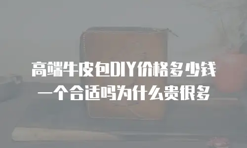 高端牛皮包DIY价格多少钱一个合适吗为什么贵很多