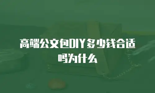 高端公文包DIY多少钱合适吗为什么