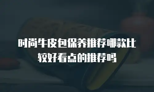时尚牛皮包保养推荐哪款比较好看点的推荐吗