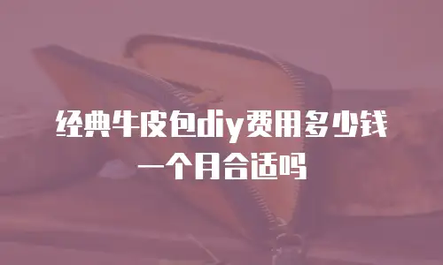 经典牛皮包diy费用多少钱一个月合适吗