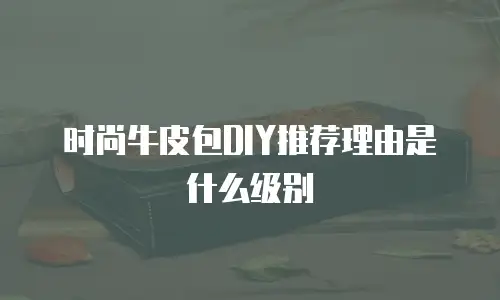 时尚牛皮包DIY推荐理由是什么级别