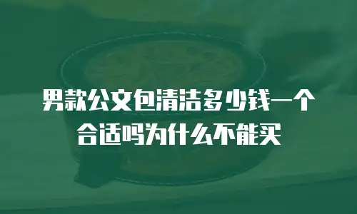 男款公文包清洁多少钱一个合适吗为什么不能买