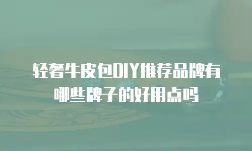 轻奢牛皮包DIY推荐品牌有哪些牌子的好用点吗