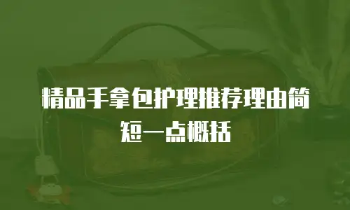 精品手拿包护理推荐理由简短一点概括