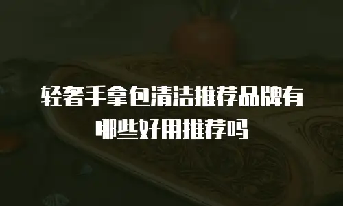 轻奢手拿包清洁推荐品牌有哪些好用推荐吗