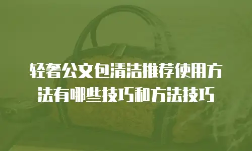 轻奢公文包清洁推荐使用方法有哪些技巧和方法技巧