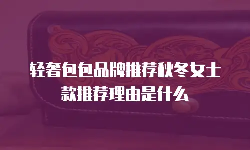 轻奢包包品牌推荐秋冬女士款推荐理由是什么