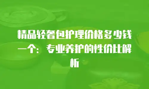 精品轻奢包护理价格多少钱一个：专业养护的性价比解析