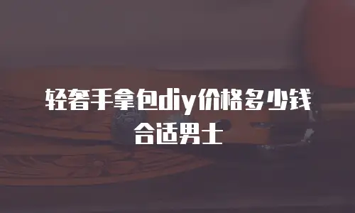 轻奢手拿包diy价格多少钱合适男士