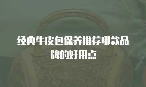 经典牛皮包保养推荐哪款品牌的好用点