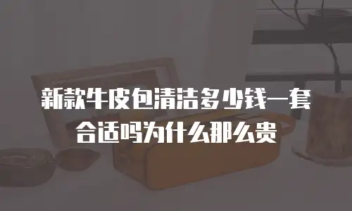 新款牛皮包清洁多少钱一套合适吗为什么那么贵